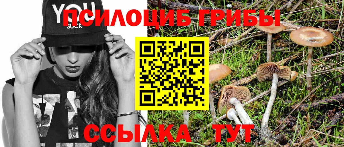 Галлюциногенные грибы Magic Shrooms Сланцы