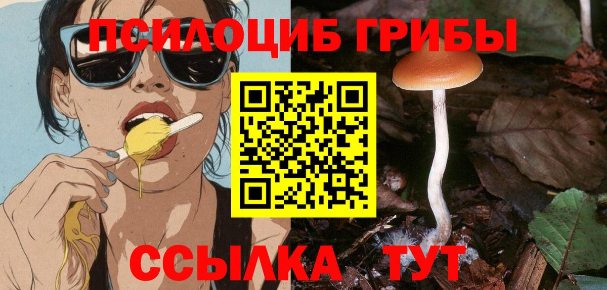 Псилоцибиновые грибы Psilocybine cubensis  Вход с VPN  Псилоцибиновые грибы Cubensis  Сланцы 